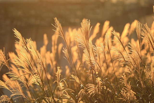 사랑온난방비 지원금 신청방법, 최대 100만원
