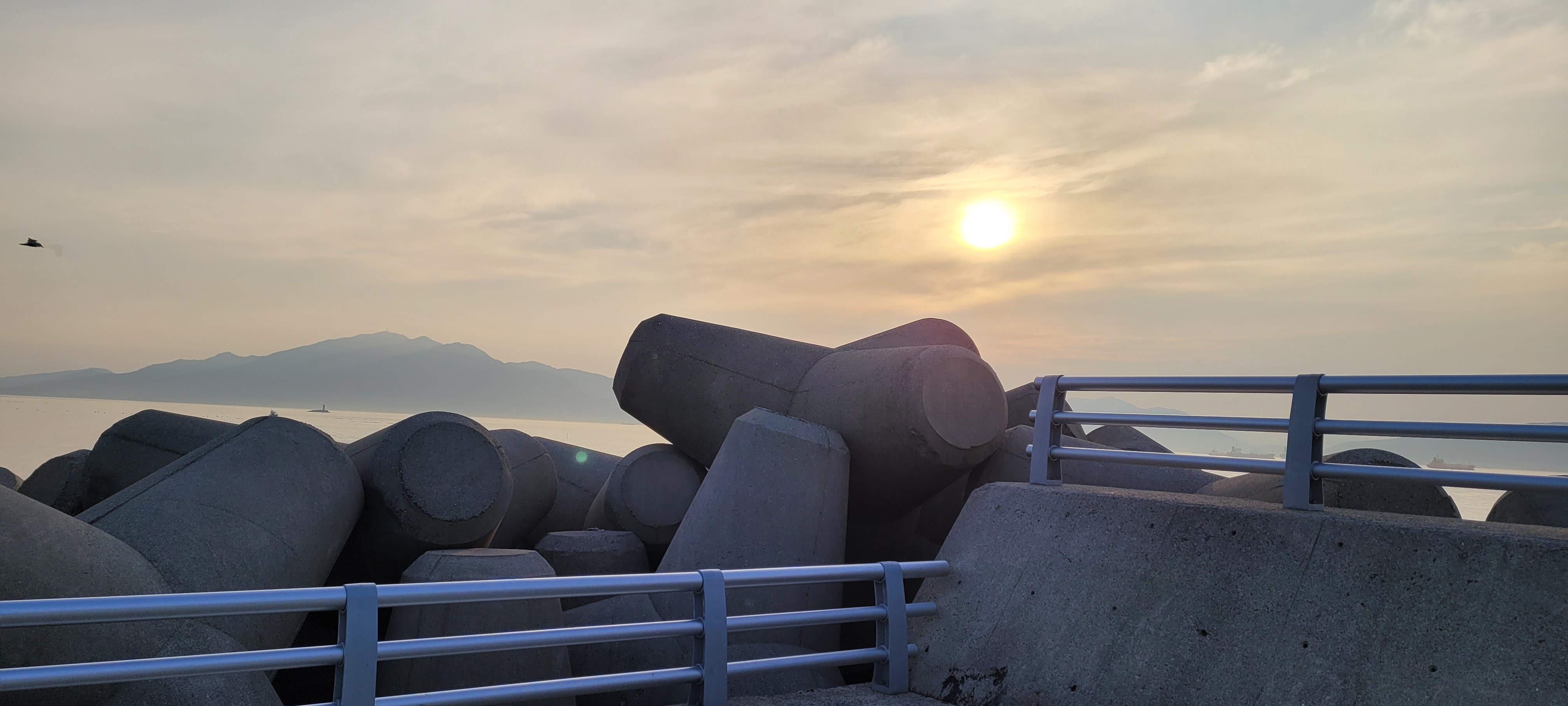 여수 숙소 근처 일출 명소 사진