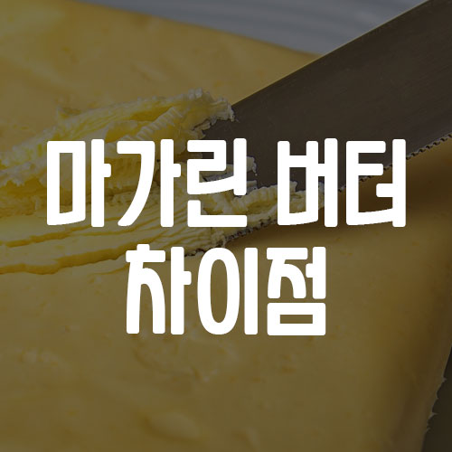 마가린 버터 차이점