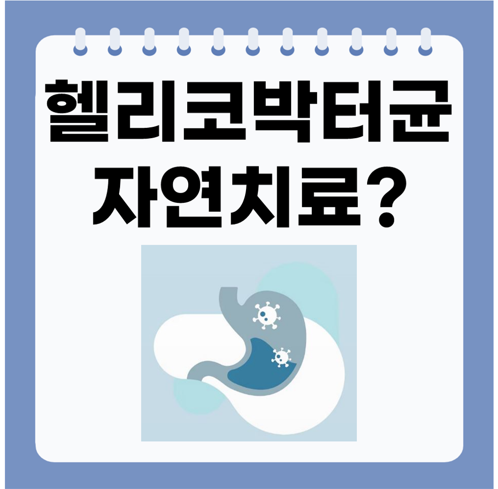 헬리코박터균