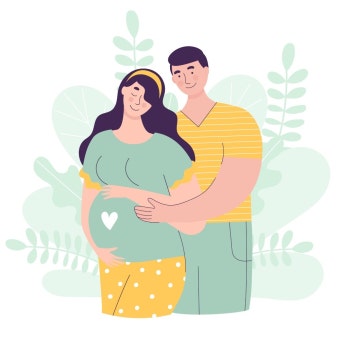 2026년 정부 예산안(728조원)