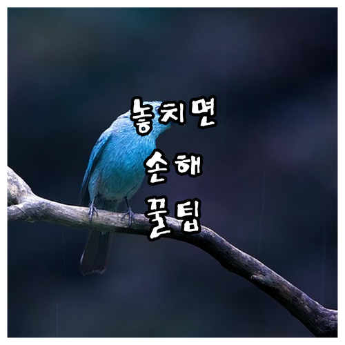 용산 문배동 대형폐기물, 과태료 없이..