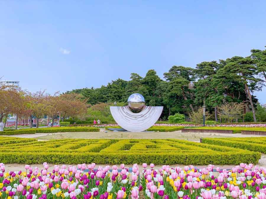 경포플라워가든