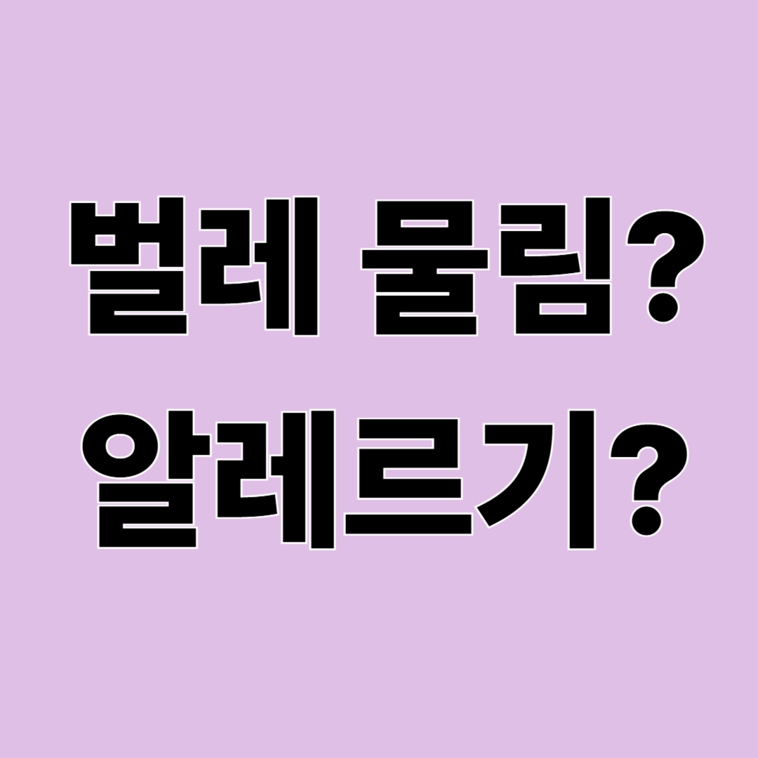 벌레 물림과 피부 알레르기, 어떻게 구별할까? 증상과 대처법 총정리