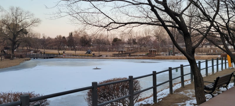 겨울에도 OK! 반려견과 함께하는 나들이 장소 BEST 7