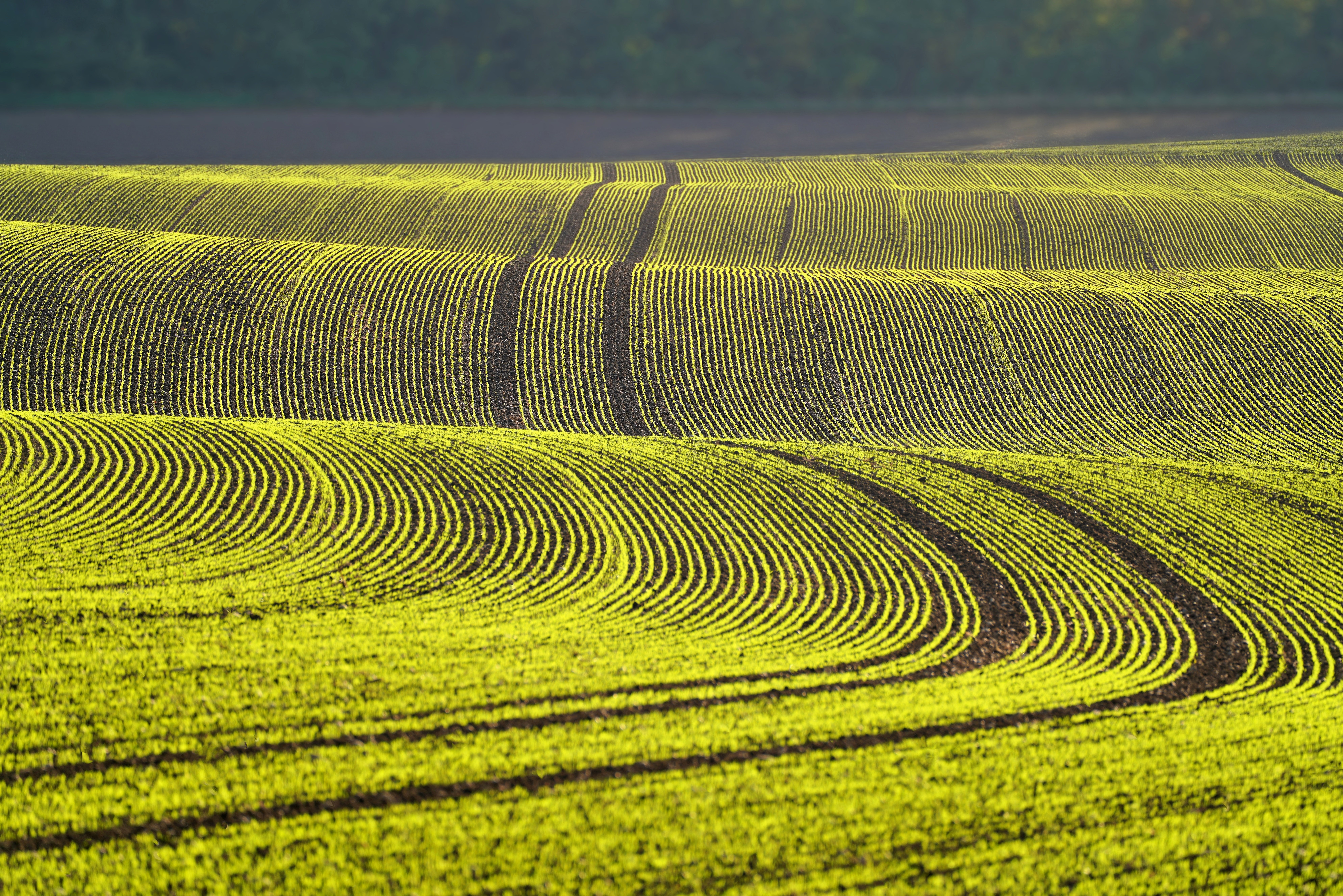비옥한 농지의 전경