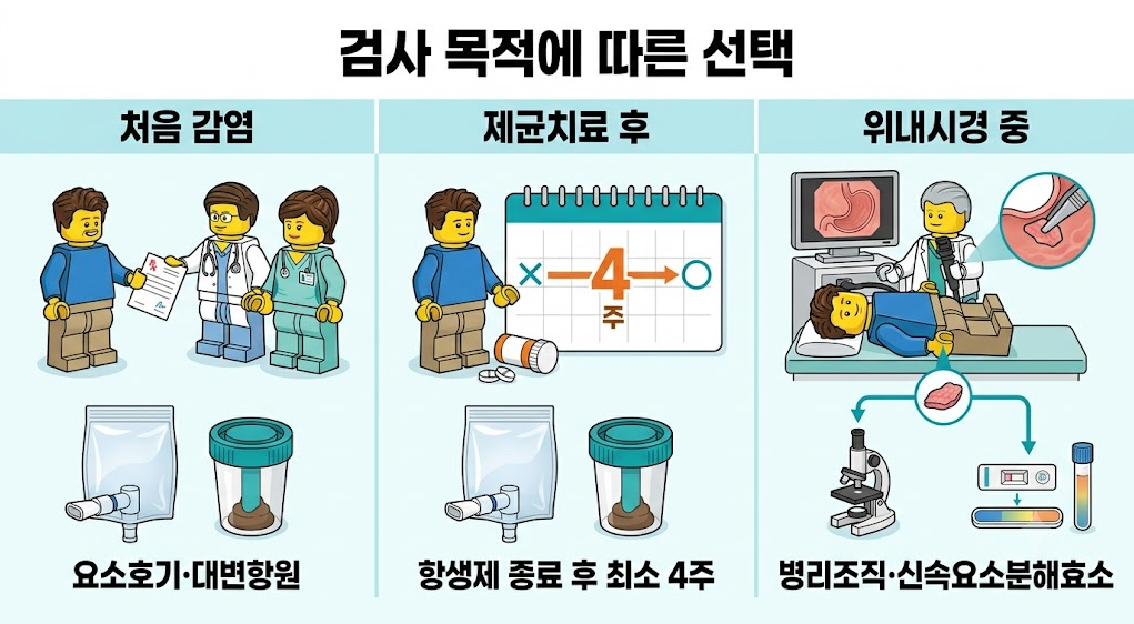 처음 감염 제균 치료 후 위내시경 시행 시 상황별 헬리코박터 검사 선택 기준