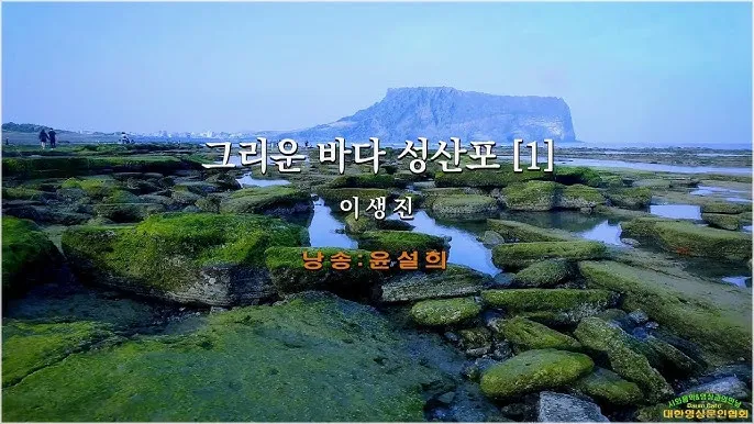 성산포항 여객터미널 우도 배시간표 배편 예약 요금_7