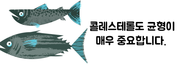 콜레스테롤 정상수치