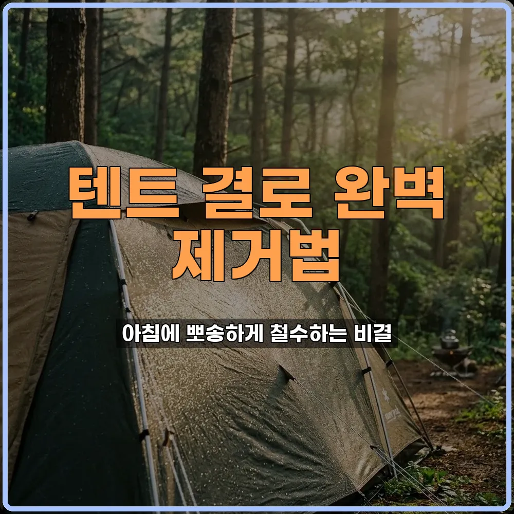 캠핑팁