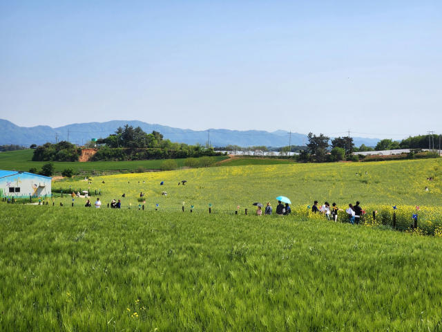 전라북도 고창 스포츠타운 파크골프장