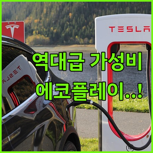 가성비 좋은 국산 에코플레이 가정용 ..