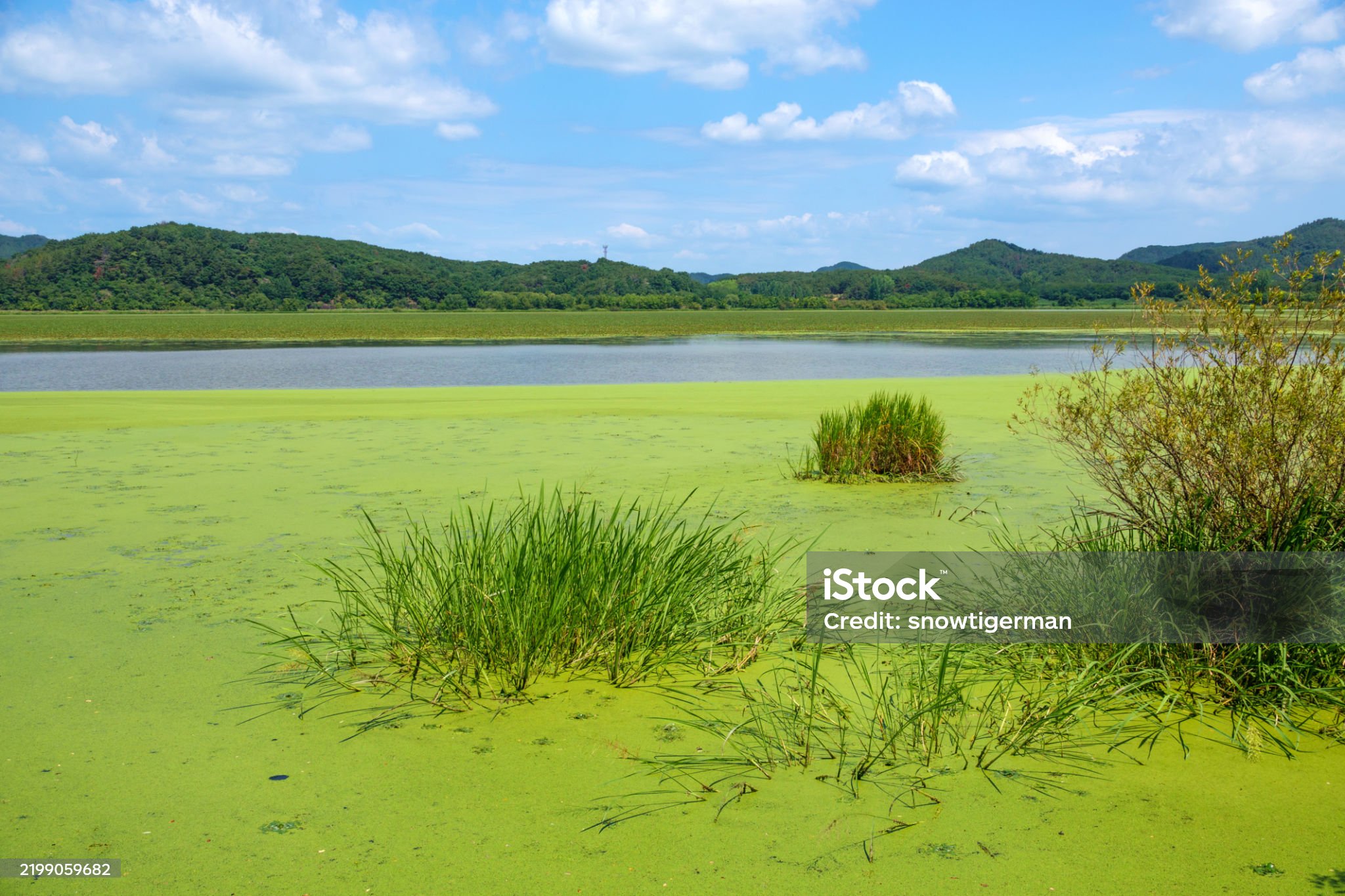 경남 여행 - 창녕