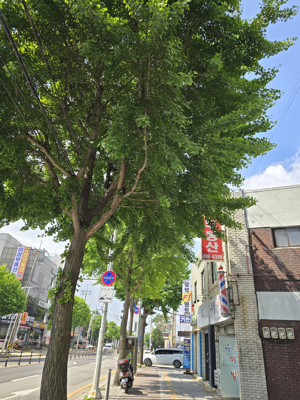 봉사 때 만난 풍경