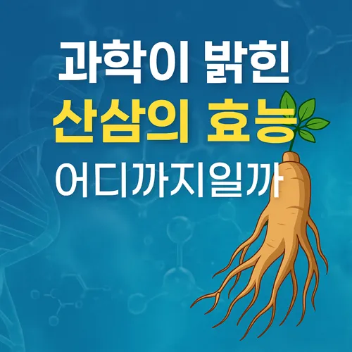 산삼 과학적 효능 요약 이미지