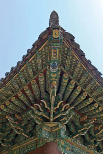 사래가 잘 걸리는 이유 사래 걸렸을때 대처법_14