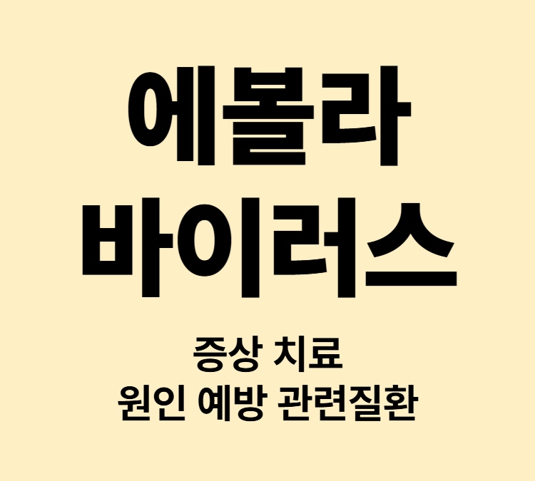 아프리카 여행 발열 두통 출혈 에볼라바이러스 증상 치료방법