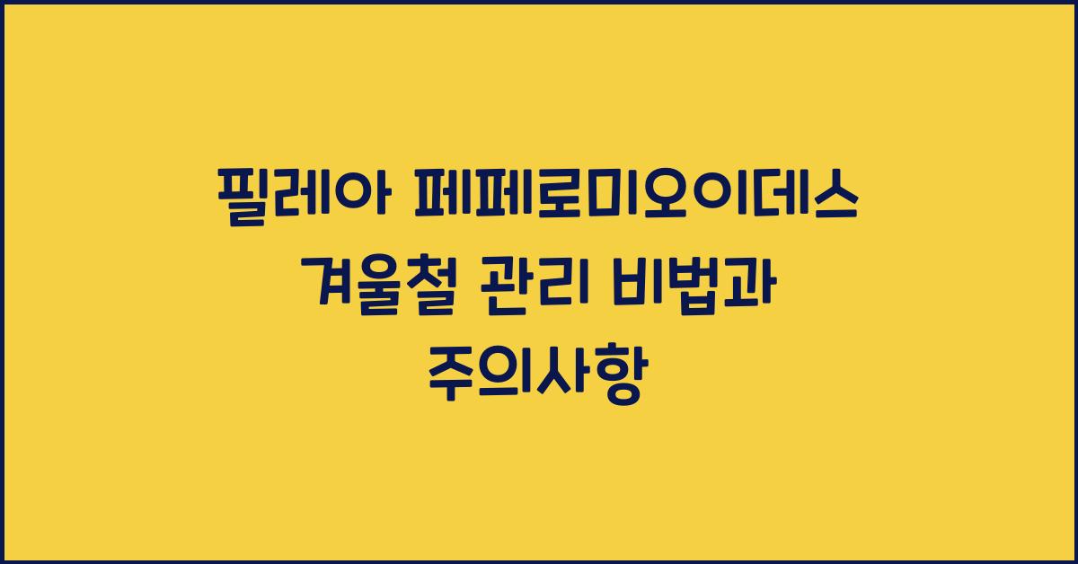 필레아 페페로미오이데스 겨울철 관리