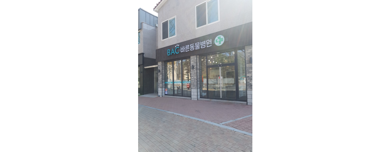 안동시 동물병원