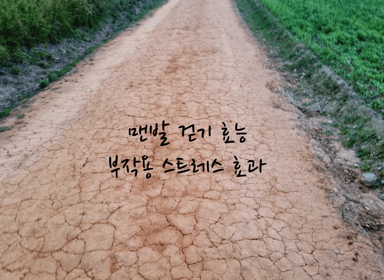 맨발 걷기 효능