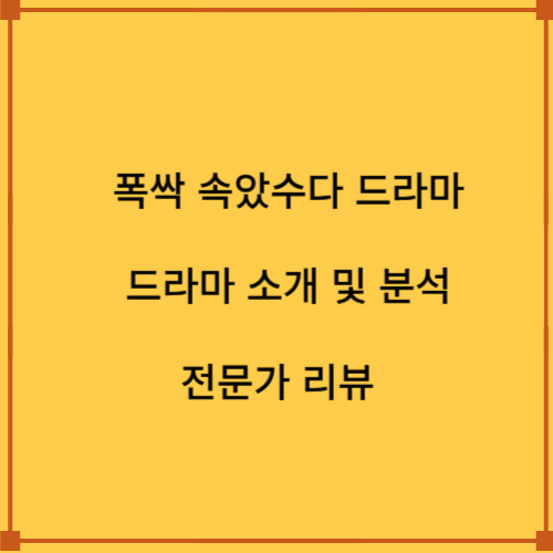 폭싹 속았수다 드라마 소개 및 분석과 전문가 리뷰