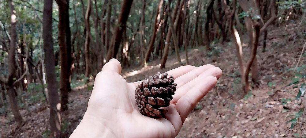 달산봉