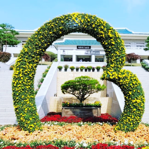 청주 가볼만한곳 베스트10