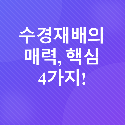 수경재배 상추 키우기_2