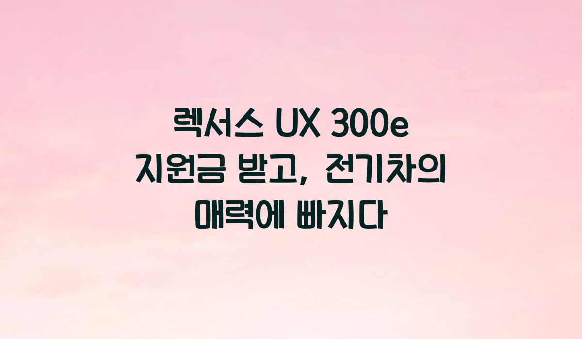 렉서스 UX 300e 지원금​