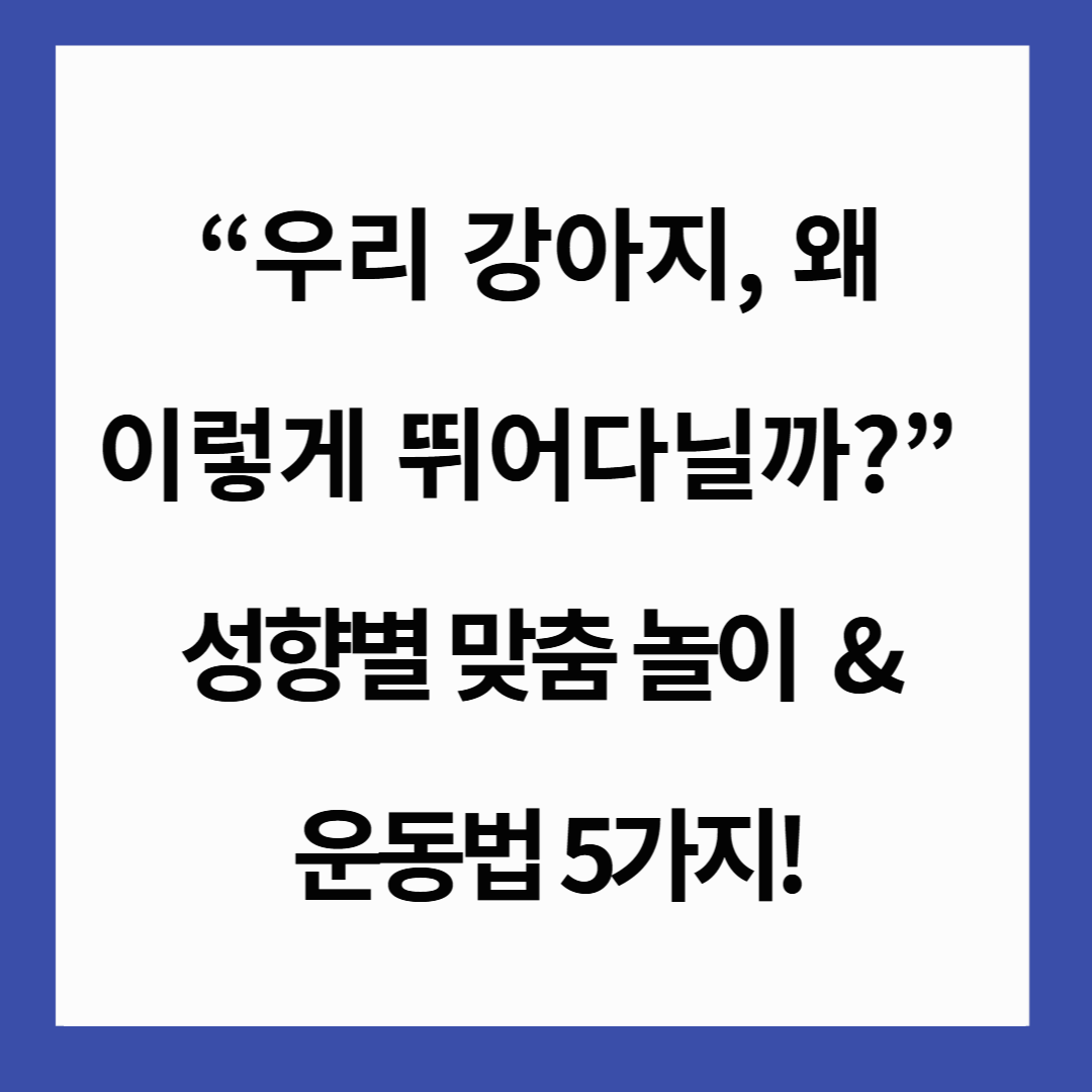 🐶 &ldquo;우리 강아지, 왜 이렇게 뛰어다닐까?&rdquo; 성향별 맞춤 놀이 &amp; 운동법 5가지!