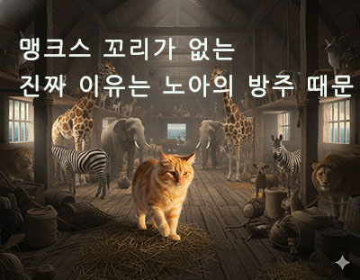 맹크스 꼬리가 없는 진짜 이유는 노아의 방주 때문
