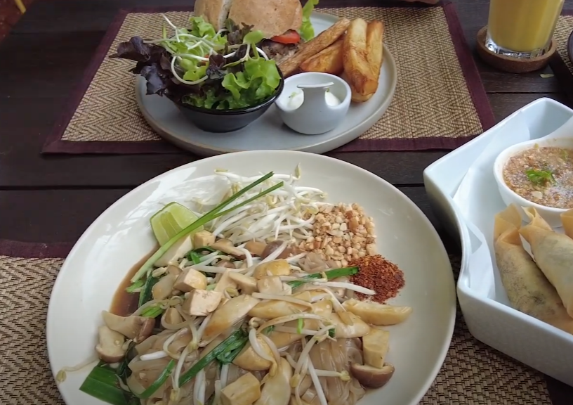 비건 팟제이 사진