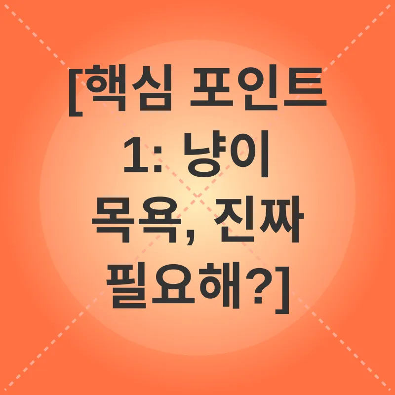 새끼 고양이 목욕_1