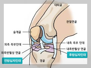 무릎뚝뚝소리