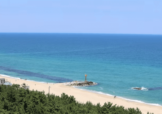 서울 근교 당일치기 기차여행 BEST 5