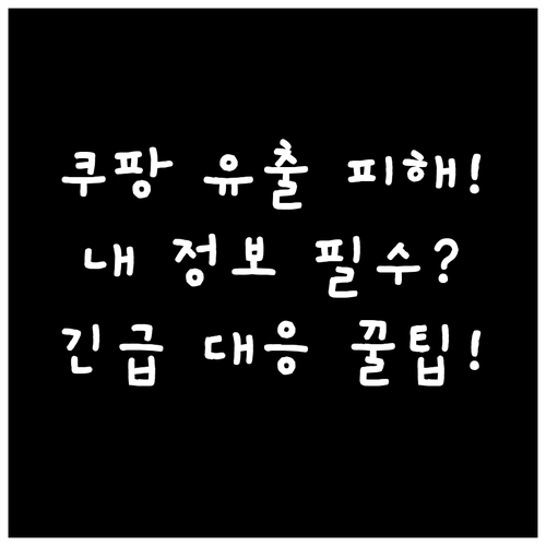 쿠팡 3,370만 명 개인정보 유출 ..