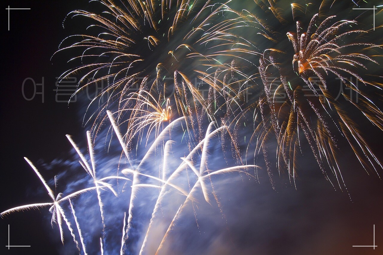 인기 축제 BEST 7, 올해 가장 기대되는 축제, 여름에 꼭 가봐야 할 인기있는 축제