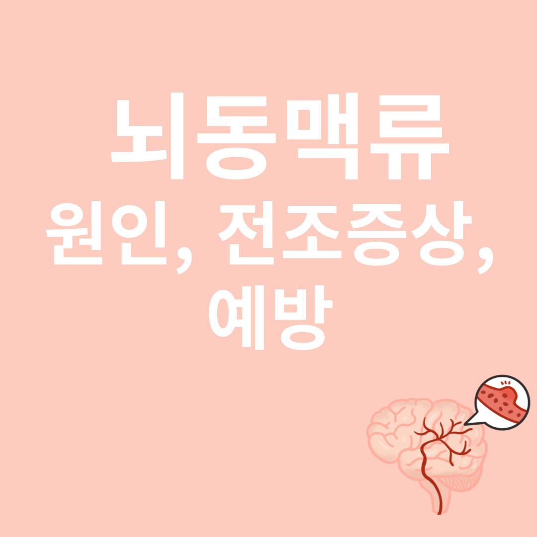 뇌동맥류와 관련된 이미지