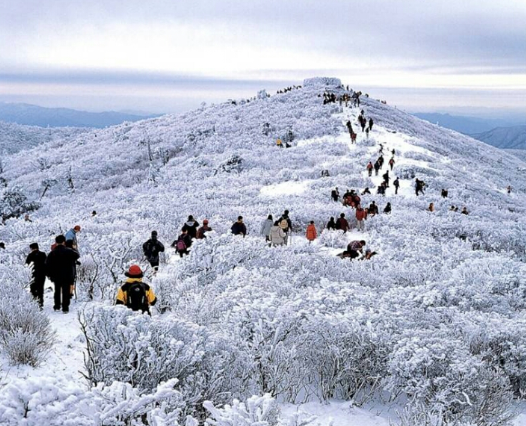 겨울산행