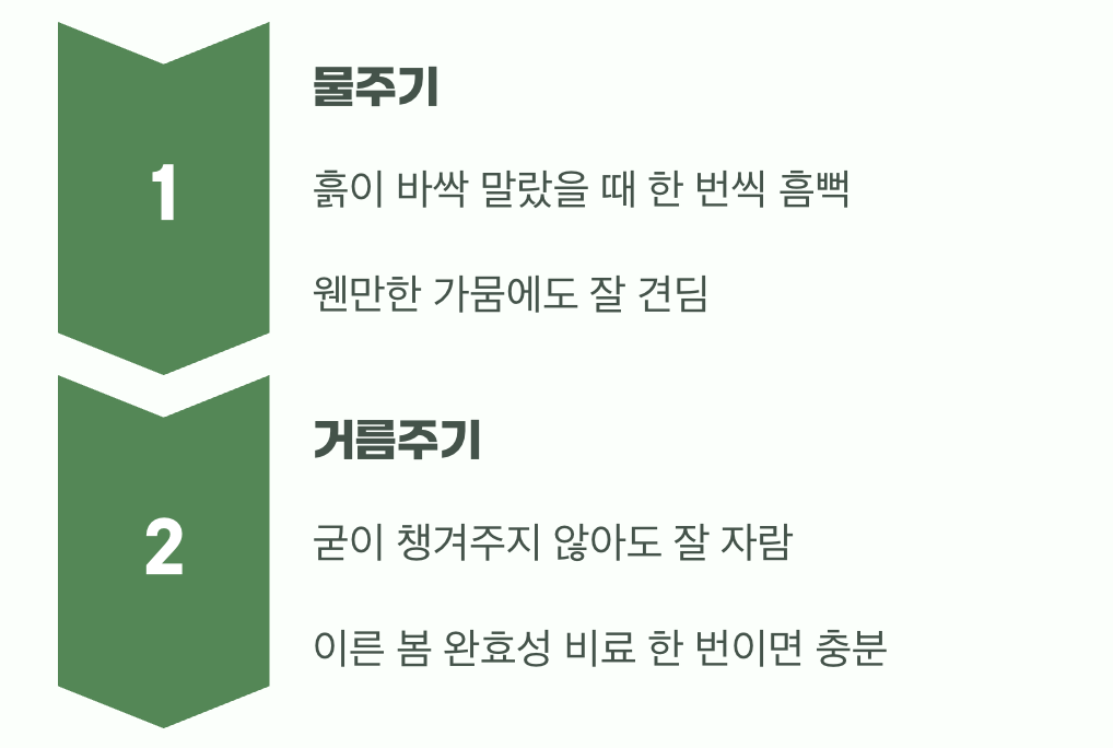 비결 2. 과한 사랑은 금물, '물'과 '거름'