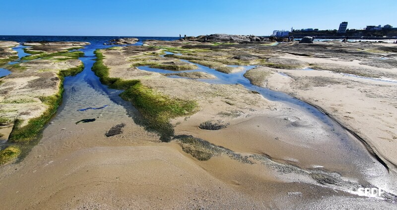아야진-해변-해수욕장-스위밍터틀-강원도-고성-오션뷰-카페