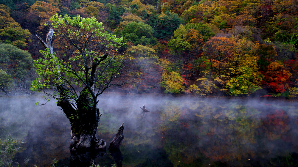경상북도 청송 주산지