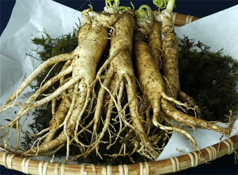 용각산쿨 성분 인삼