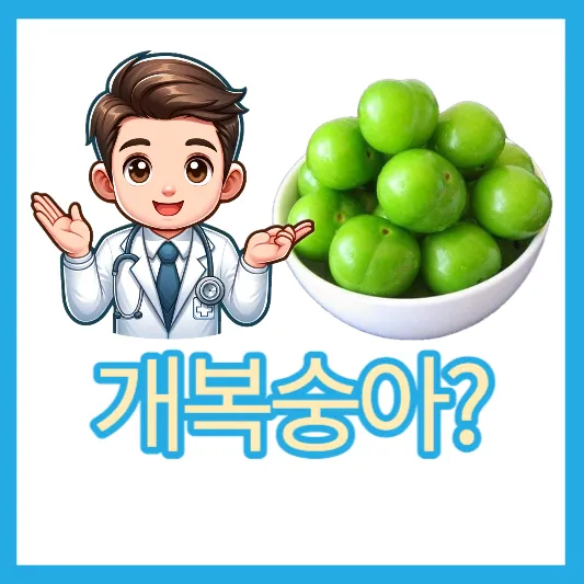 개복숭아 돌복숭아