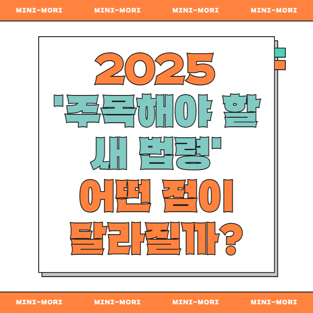'주목할 새법령