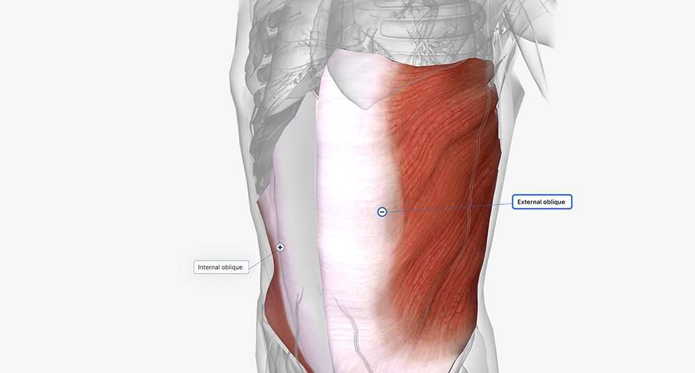 근감소증 자가진단