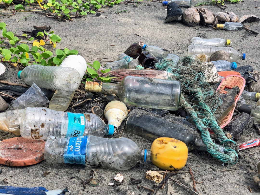 Environment