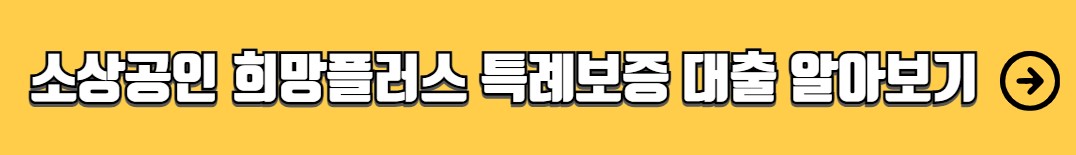 정부지원 소상공인 정책자금 대출 프로그램