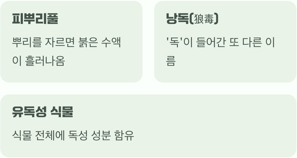 이름 속에 숨겨진 비밀