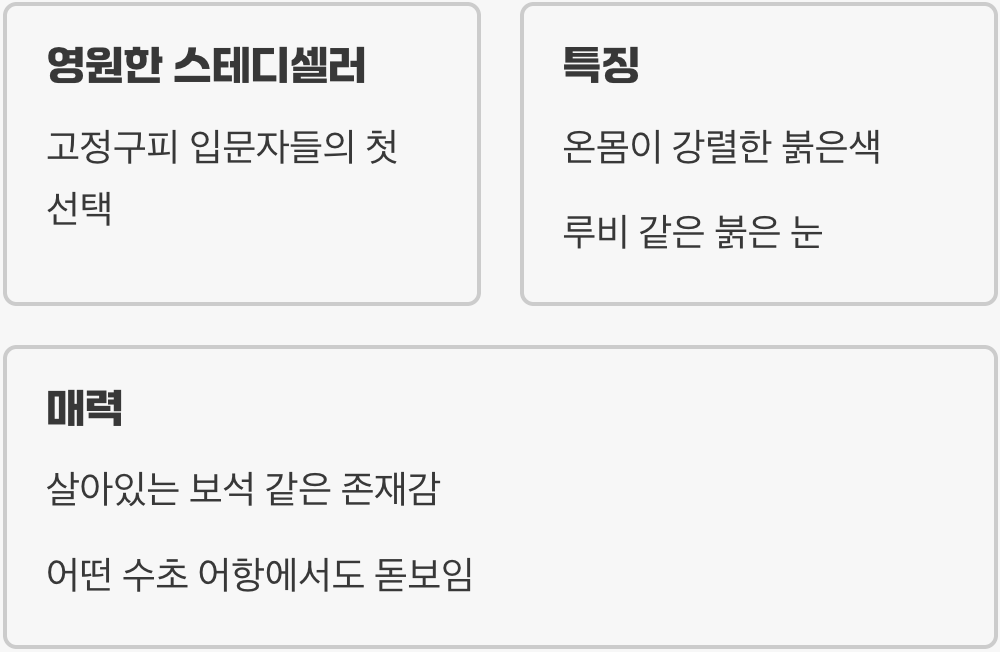 1. 영원한 스테디셀러, 붉은 보석 ‘알비노 풀레드(알풀)’